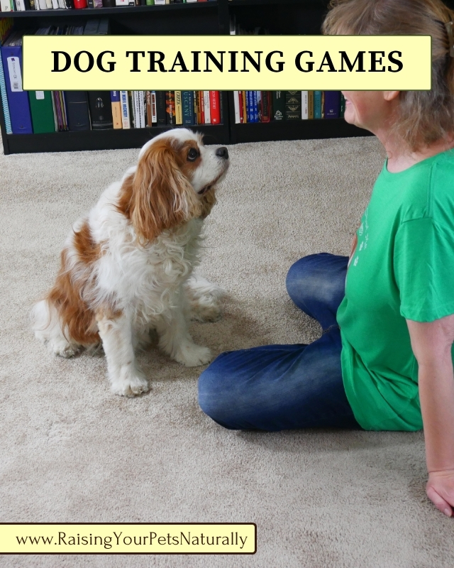 Fun Dog Training Games and Impulse Control Games for Dogs