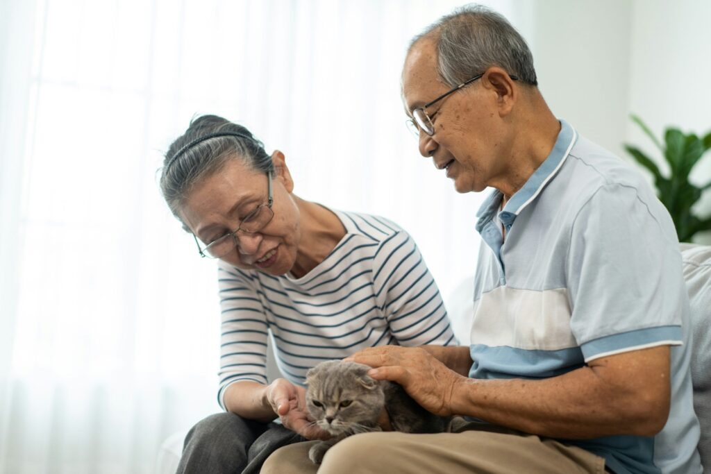Legacy Giving: A Lasting Gift for Cats in Need