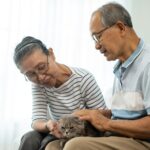 Legacy Giving: A Lasting Gift for Cats in Need 