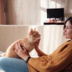 12 Best Cat Breeds for First-Time Owners (With Pictures)