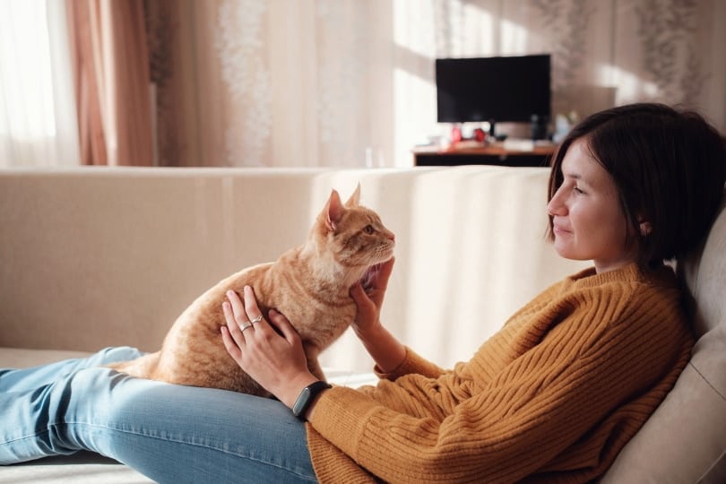 12 Best Cat Breeds for First-Time Owners (With Pictures)