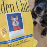 Golden Child Dog Food: Brand, Recipes, and How It Works