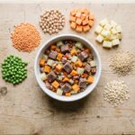 Grain-Free Dog Food: What the Science Says