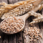 Top dog food ingredients that cause allergies