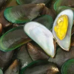 Can This Little Shellfish Keep Your Furry Friend Moving?