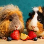 Best Fruits for Guinea Pigs (Safe List, Portions & Nutrition)