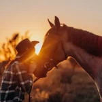 The Subtle Ways Horses Ask Humans for Help