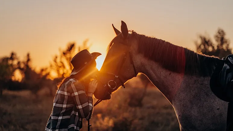 The Subtle Ways Horses Ask Humans for Help