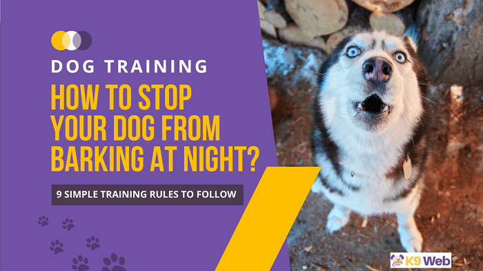 How to Stop Your Dog from Barking at Night? [9 Simple Training Rules to Follow]