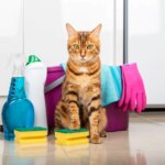 These Household Items Can Be Toxic to Cats!