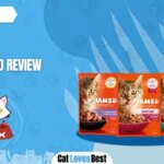 Iams Cat Food Review: Everything You Need to Know