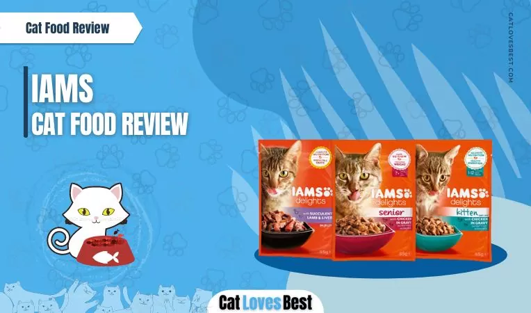 Iams Cat Food Review: Everything You Need to Know