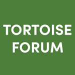 Redfoot loss of Appetite | Tortoise Forum