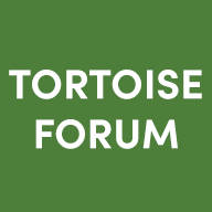 Redfoot loss of Appetite | Tortoise Forum