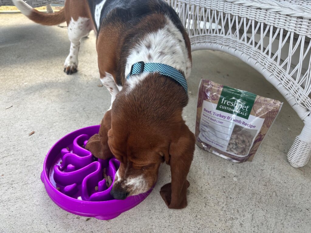 Freshpet Dog Food Review: Is This Fresh, Refrigerated Pet Food Worth It?