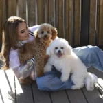 Nicole Huff: “I Would Always Run Up to Any Dog I Saw”