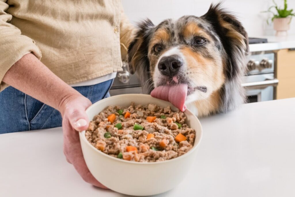 Is JustFoodForDogs Actually Good? Verdict & Reviews
