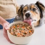 Is JustFoodForDogs Actually Good? Verdict & Reviews