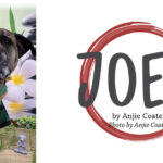 Joey – Groomer to Groomer