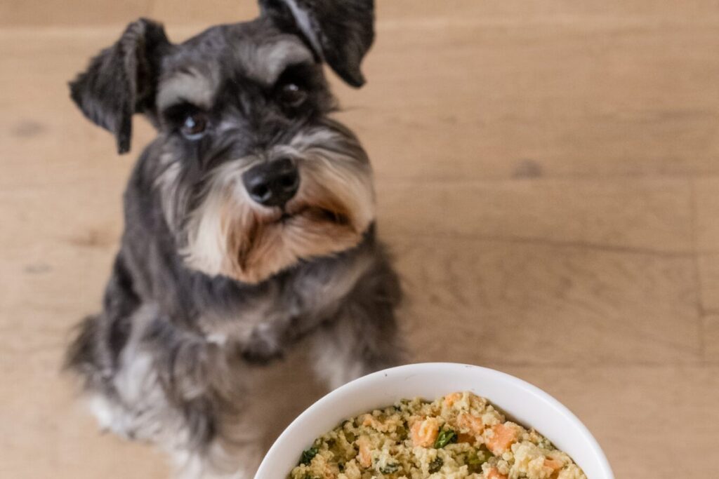 JustFoodForDogs Low Fat: Vet Recommended Diet Guide