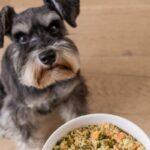 JustFoodForDogs Low Fat: Vet Recommended Diet Guide