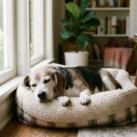 JustFoodForDogs Renal Support: Vet Guide to Kidney Diets