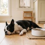 JustFoodForDogs Sensitive Stomach: Vet Diet for Diarrhea