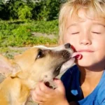 Little Boy Refused to Leave Them Behind