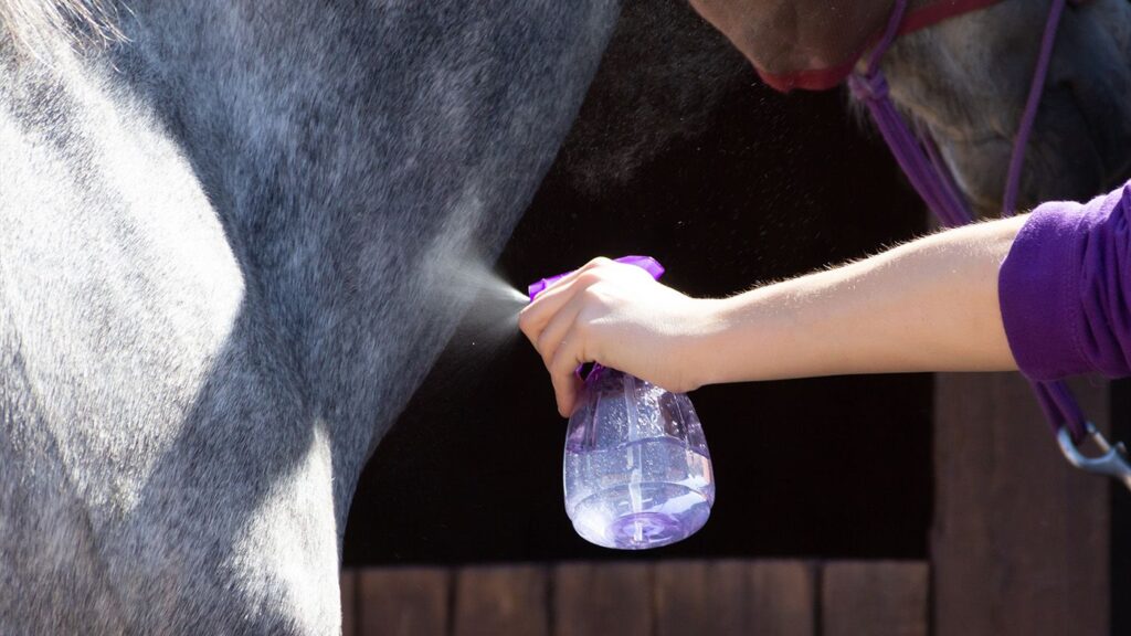 Homemade fly spray for horses: Recipes and vet advice