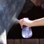 Homemade fly spray for horses: Recipes and vet advice