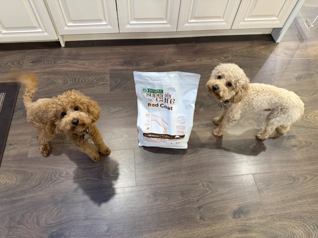 Best Dog Food for Red Coat Dogs? Nature’s Protection Review