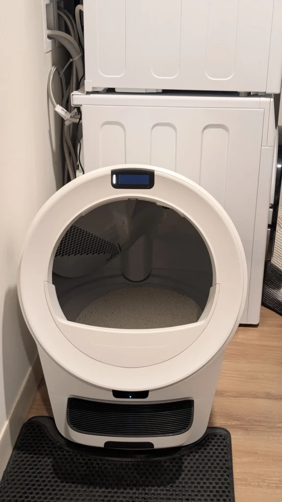 Best Litter for Litter-Robot: What to Use and Avoid