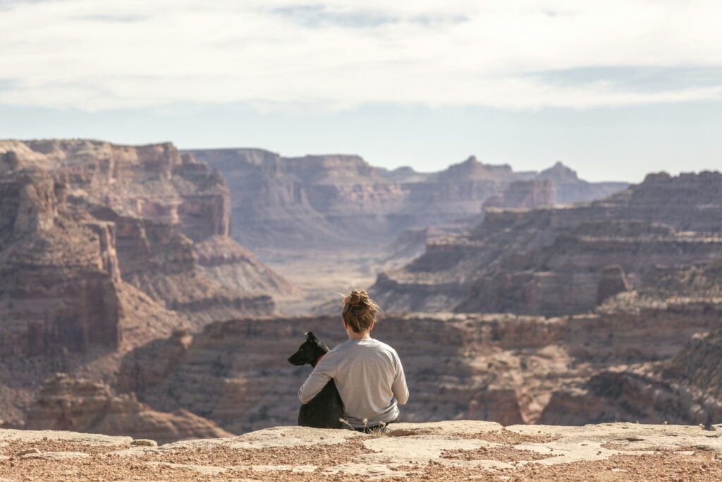 Pet Travel Documentation: A Comprehensive Guide