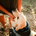 Why Do Dogs Nuzzle You? (What That Little Nose Nudge Really Means)