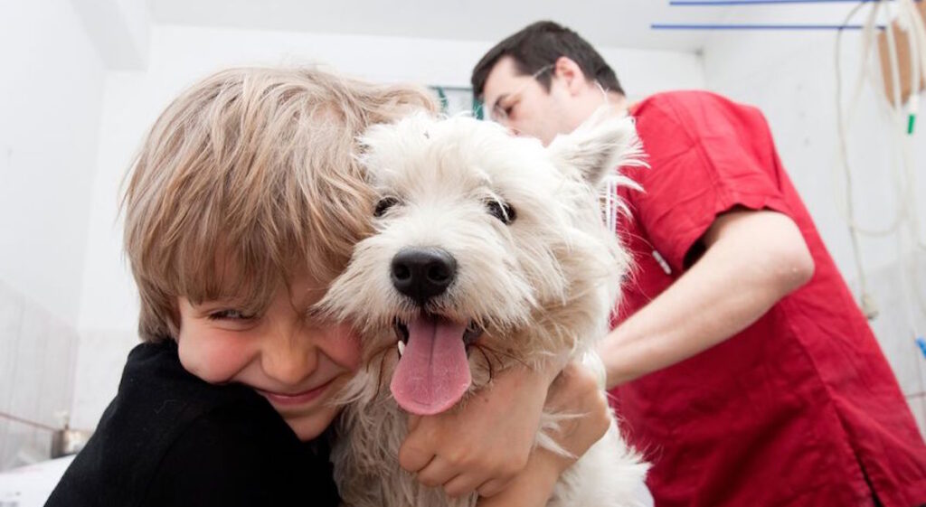 Is Pet Insurance Worth It in 2026? Honest Answer + Cost