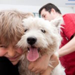 Is Pet Insurance Worth It in 2026? Honest Answer + Cost