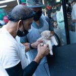 Cat Health Check Guide for UAE Cat Owners