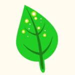 When Should I Dose Potassium in My Planted Aquarium?