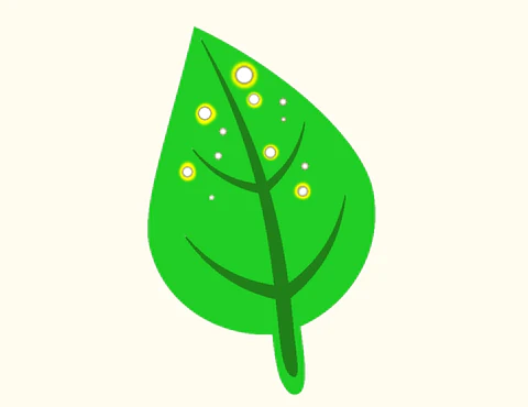 When Should I Dose Potassium in My Planted Aquarium?