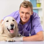 How Much Does It Cost to Spay or Neuter a Dog?