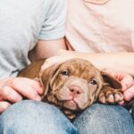 17 Tips for Dealing with the Puppy Blues: There Is Hope!
