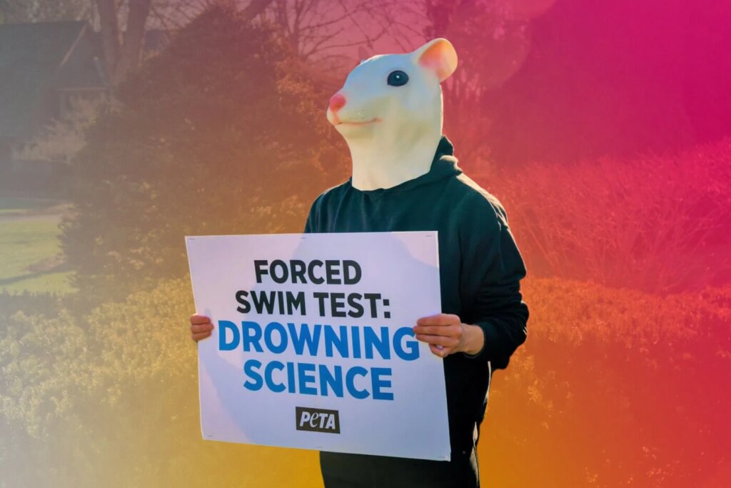 PETA Entities Sink Cruel Near-Drowning Experiments on Animals in Laboratories Worldwide
