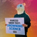 PETA Entities Sink Cruel Near-Drowning Experiments on Animals in Laboratories Worldwide