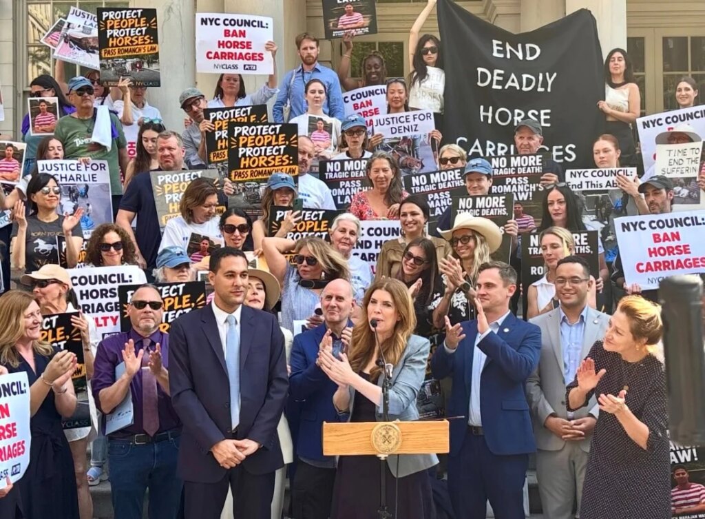 NYC’s Horse-Drawn Carriage Ban Reaches Major Milestone