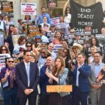 NYC’s Horse-Drawn Carriage Ban Reaches Major Milestone
