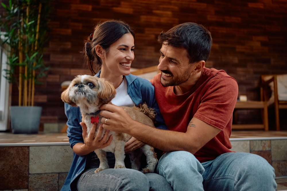Microchipping Pets: A Pet Parent’s Guide to Preparation, Not Panic 