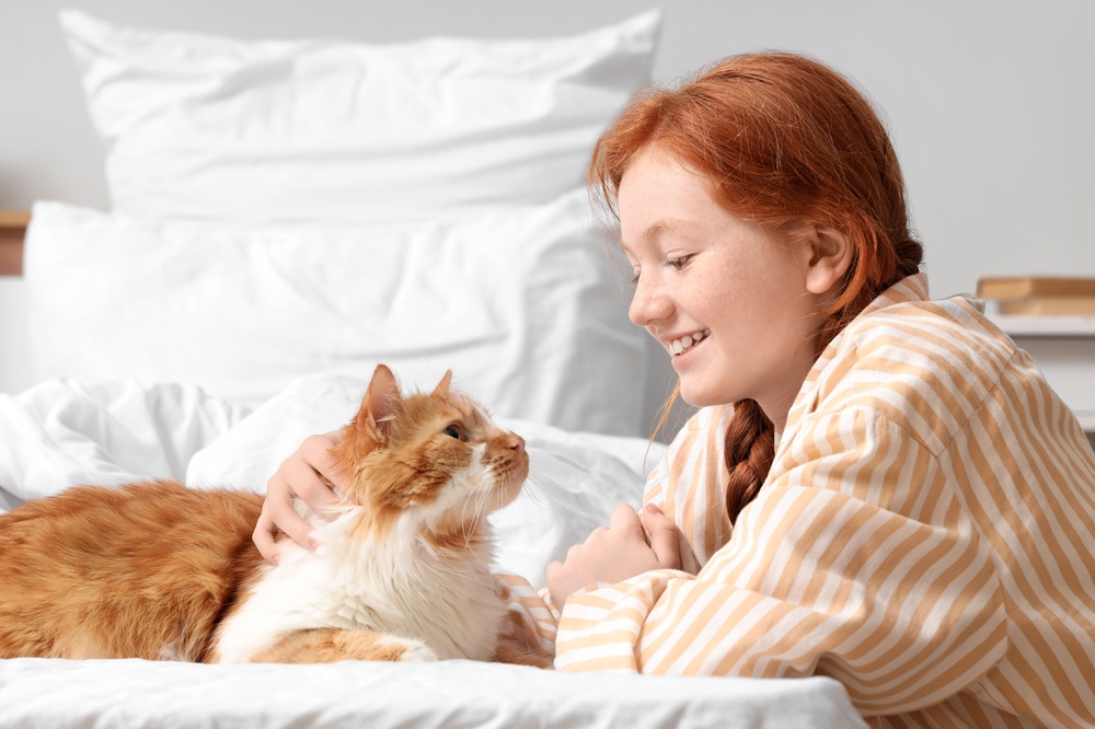 New Tool Evaluates Feline Well-Being