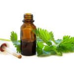 Herbal tinctures for dogs and cats