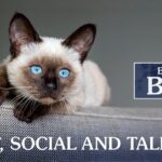 Behind the Breed: Siamese Cats