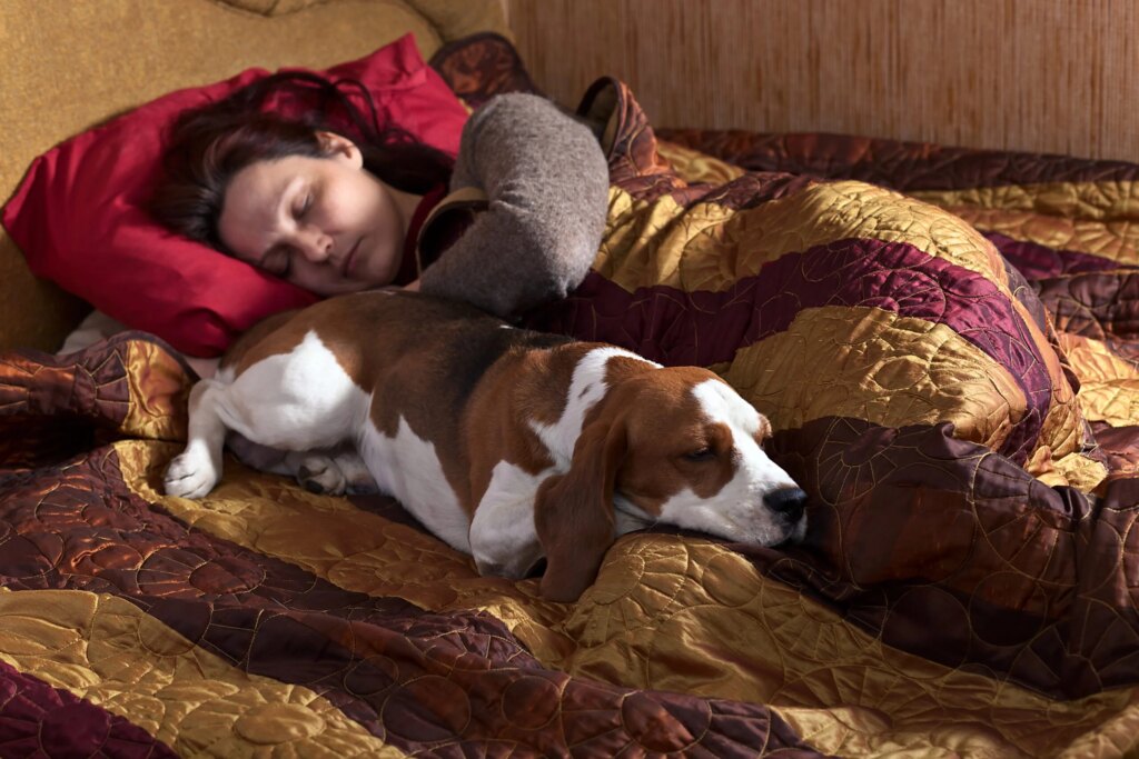 Why Does My Dog Sleep With Their Butt In My Face Every Night?
